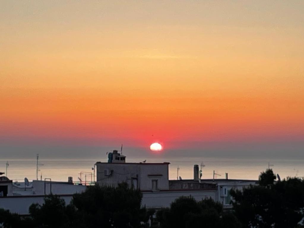 La Casa Sui Giardini Appartement Vieste Buitenkant foto